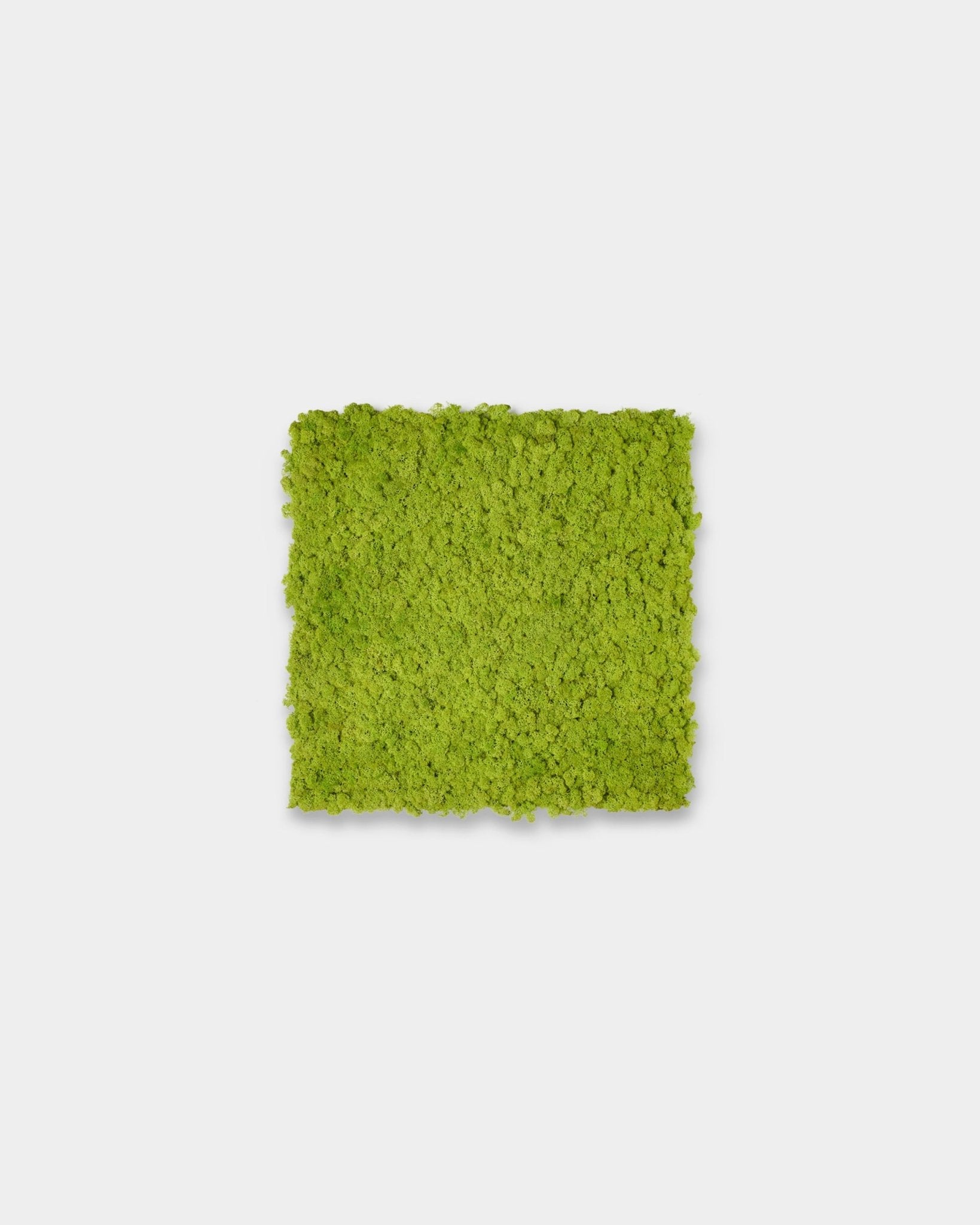 Akupixel Panel akustyczny w kolorze Apple Green, 60x60 cm, od WoodUpp, pokazany jako kwadratowy akcent na jednolitym jasnoszarym tle.