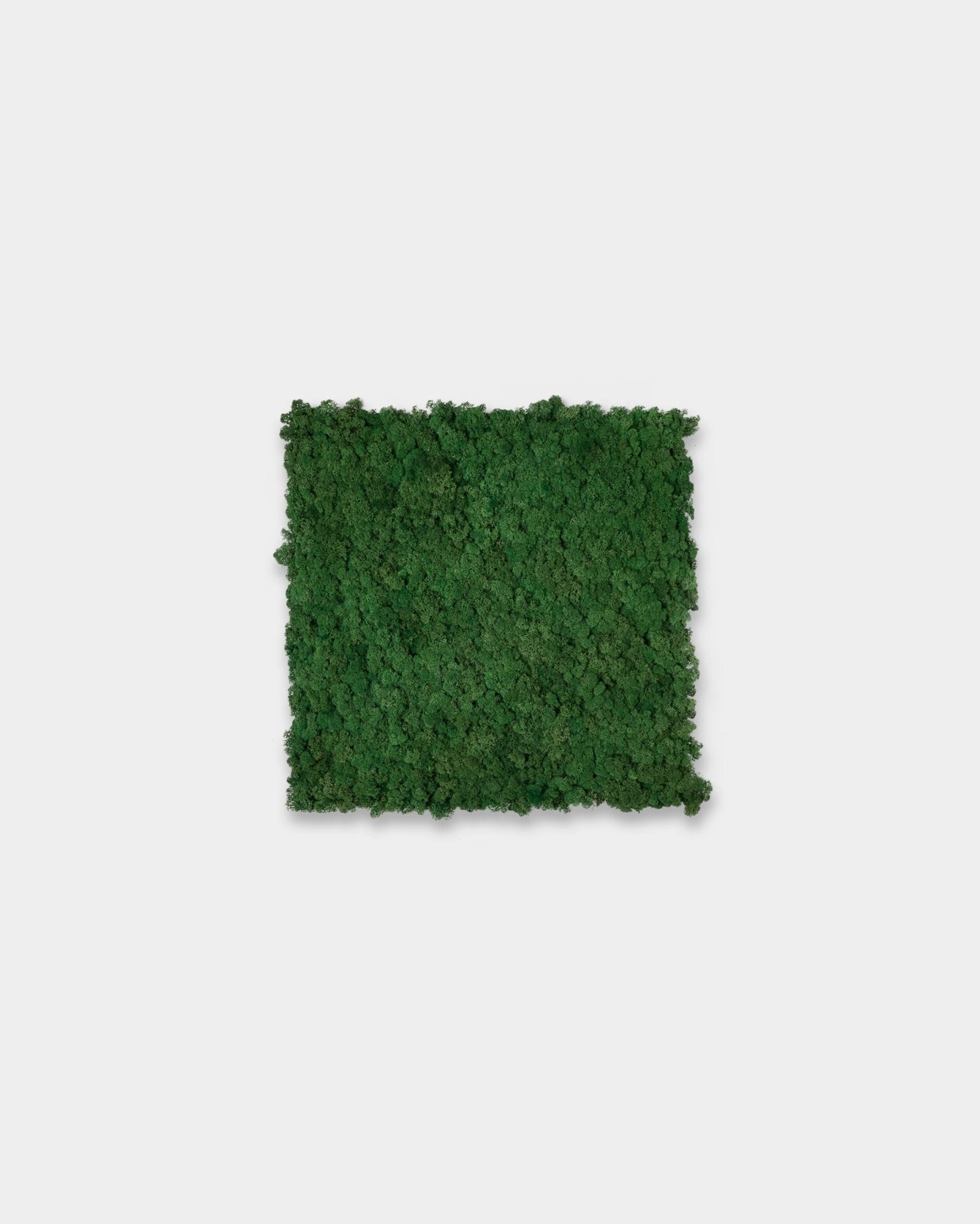 WoodUpp Akupixel Panel akustyczny w kolorze Moss Green (60x60 cm), z fakturowaną kwadratową powierzchnią, na jednolitym białym tle.