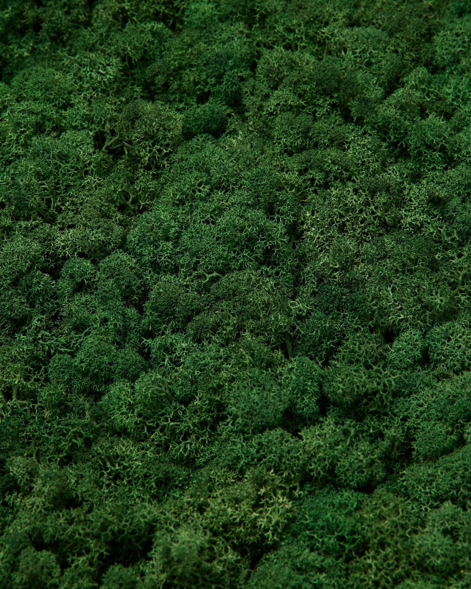 Próbka WoodUpp Moss w kolorze Moss Green ma gęstą, wyrazistą zieloną powierzchnię o bogatej fakturze i naturalnym, nieregularnym wzorze, przeznaczoną do nordyckich paneli akustycznych.