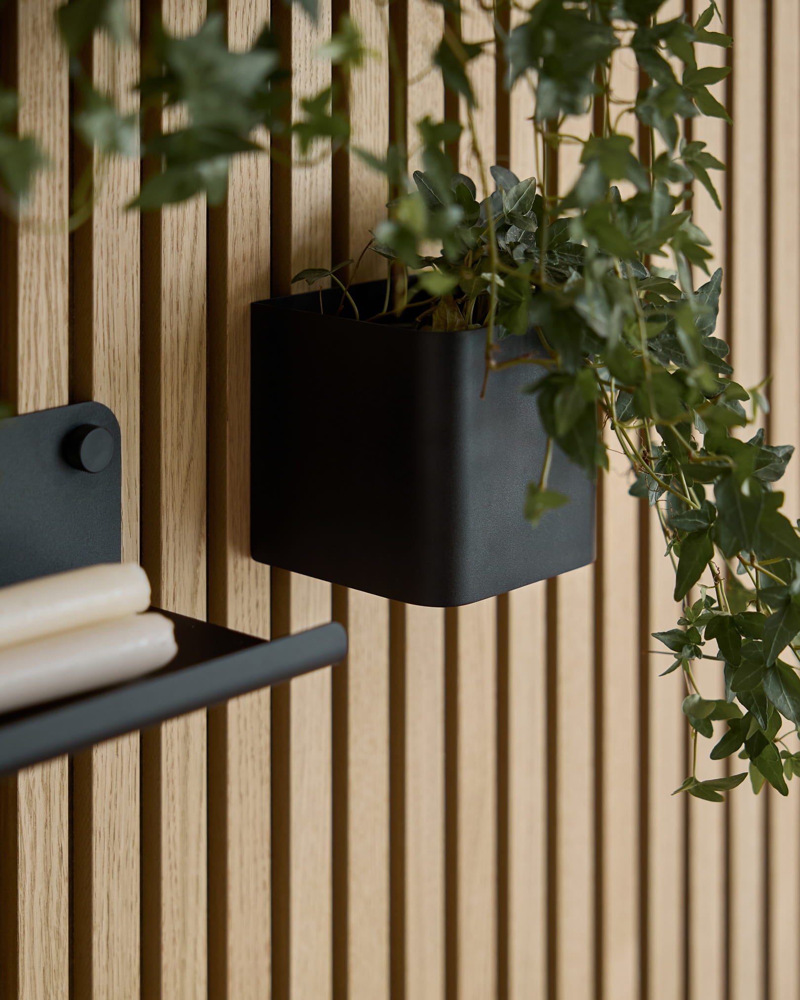 black WoodUpp Norr Plant Box 11,9 cm z zielonym bluszczem wisi na jasnym drewnianym Akupanel Panel akustyczny; widoczny jest też fragment pasującej półki z zrolowanymi papierami.