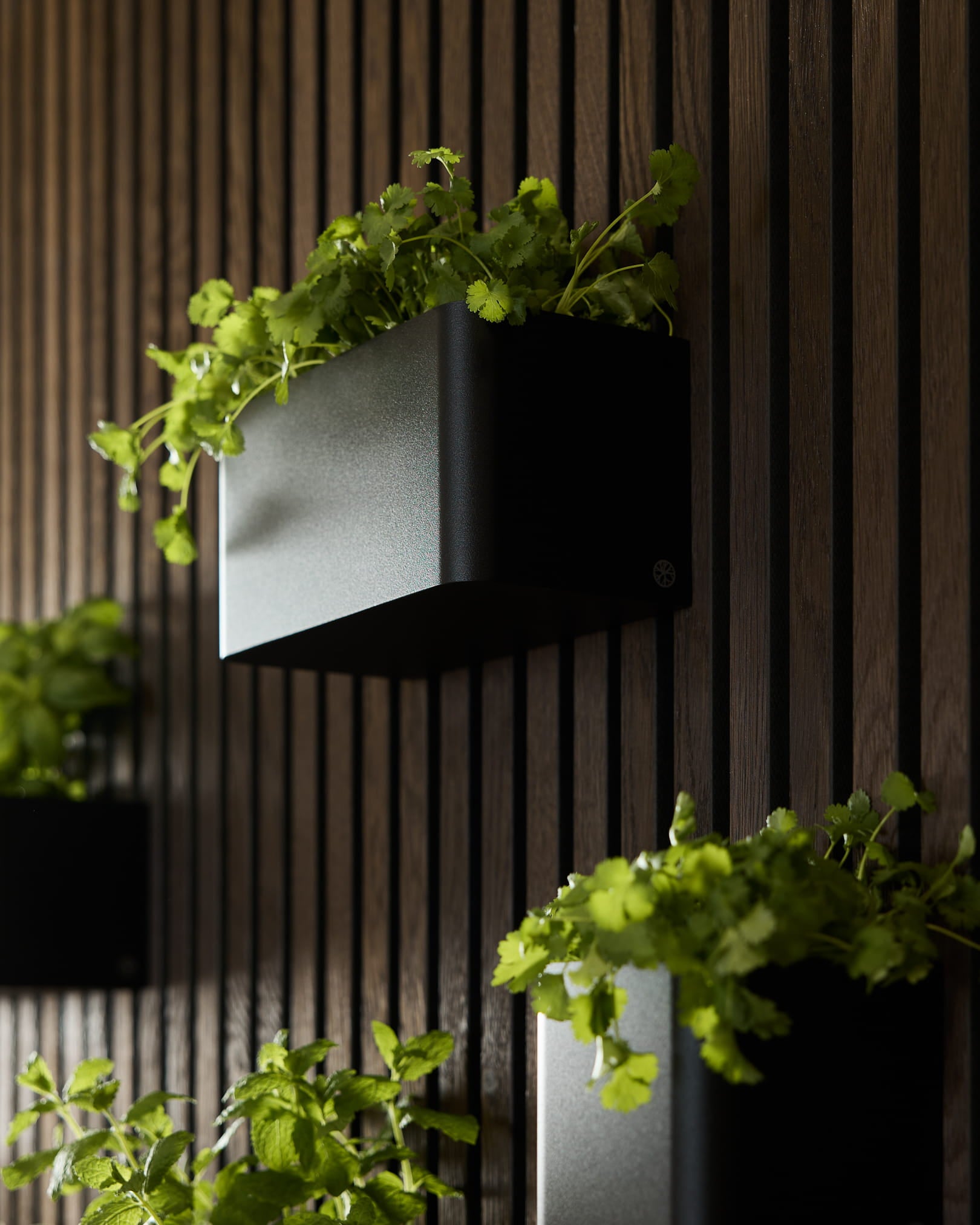 Black Norr Plant Box (23,9 cm) od WoodUpp, z zielonymi roślinami, zamontowany na vertical ciemnym drewnianym Akupanel Panel akustyczny.