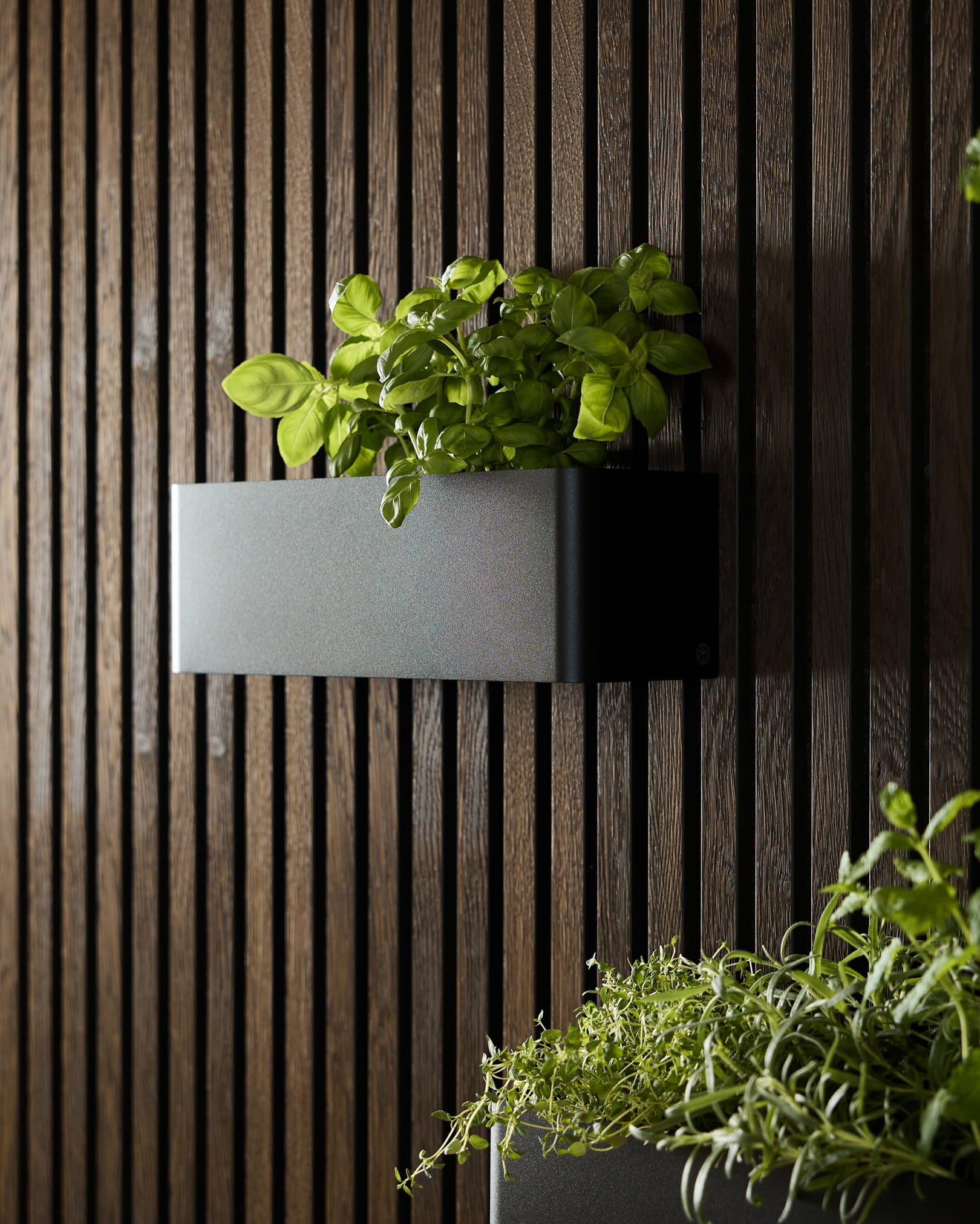 black donica Plant Box WoodUpp Norr (35,9 cm) z zieloną bazylią ustawiona na ciemnym akustycznym panelu lamelowym, obok drugiej donicy z zielonymi liśćmi.