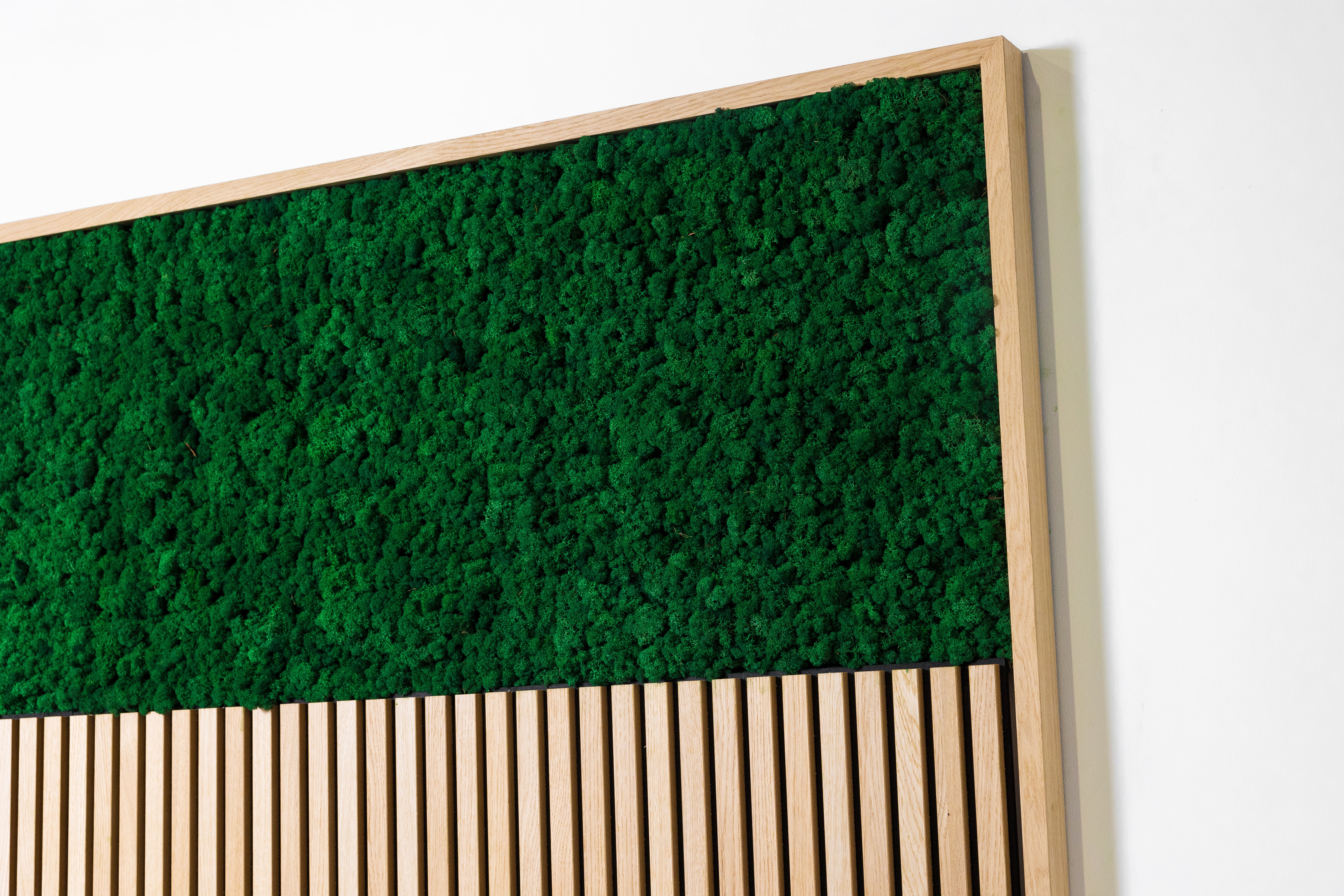 Framed preserved moss panel above wood Akupanel vertical slat wall panel on plain white background.